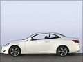 Lexus - IS-Coupe-Convertible resimler - 3391