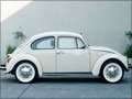 Volkswagen - Kaefer resimler - 4209