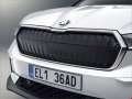 Skoda - Enyaq iV resimler - 56836
