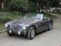 Austin-Healey - 100 araba resim - 64107