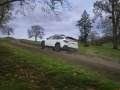 Subaru - Outback VI (Facelift 2022) resimler - 67227