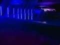 Cupra - Tavascan bilder - 73270
