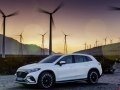 Mercedes-Benz - EQS SUV (X296) resimler - 82467