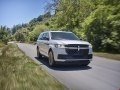 Lincoln - Navigator V L resimler - 87769