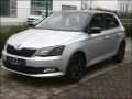 Skoda - Fabia III resimler - 14179