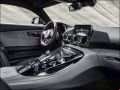 Mercedes-Benz - AMG GT (C190) resimler - 15419