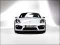 Porsche - Cayman (981c) resimler - 17181