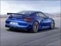 Porsche - Cayman (981c) resimler - 17201