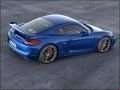 Porsche - Cayman (981c) resimler - 17205