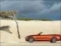 BMW - 4 Series Convertible (F33, Facelift 2017) الصور - 32003