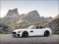 Mercedes-Benz - AMG GT Roadster (R190) 画像 - 31375