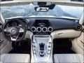Mercedes-Benz - AMG GT Roadster (R190) resimler - 31366