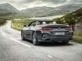BMW - 8 Series Convertible (G14) resimler - 40192