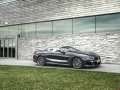 BMW - 8 Series Convertible (G14) resimler - 40193