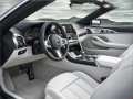 BMW - 8 Series Convertible (G14) resimler - 40194