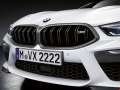 BMW - M8 Coupe resimler - 44652