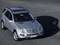 Mercedes-Benz - ML (W164) resimler - 41870